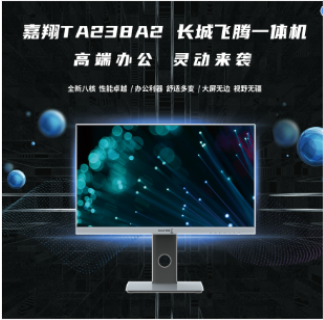长城/GreatWall TA238A2 台式计算机 嘉翔TA238A2一体机电脑国产化(飞腾D2000/8核/8GB/256GB/2G独显）